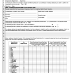 Uw System PSLF Form
